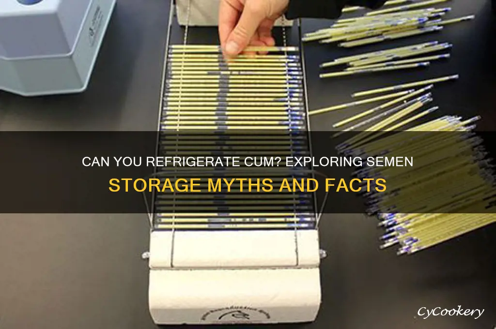 can you refrigerate cum