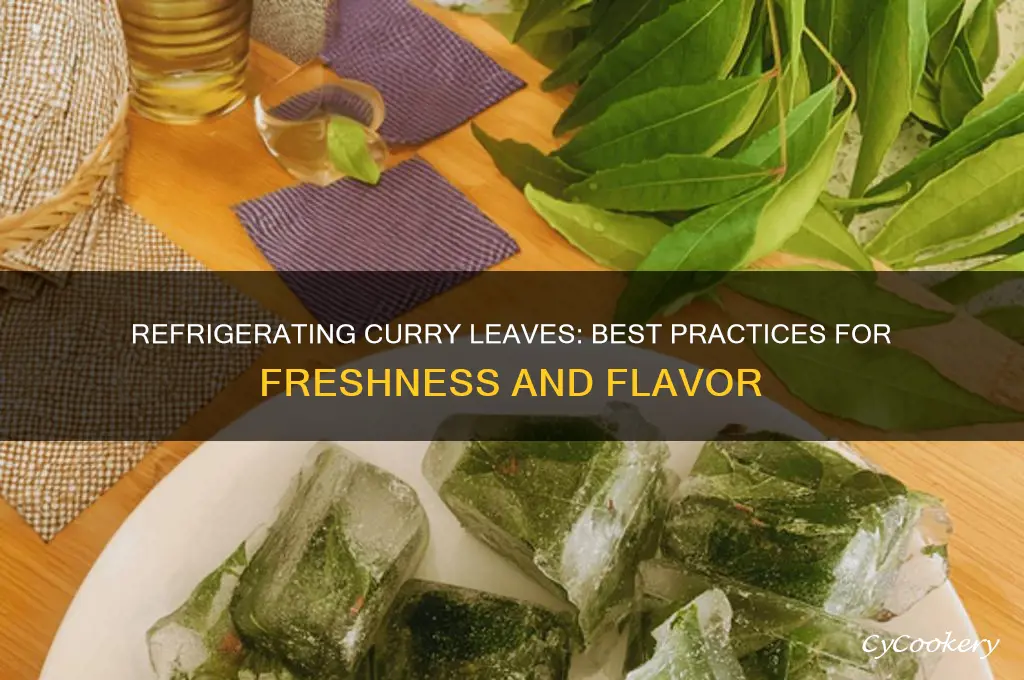 can you refrigerate curry leaves