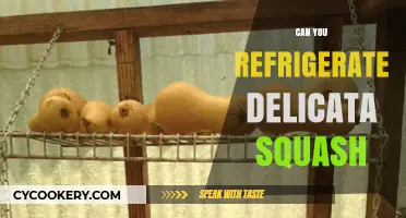 Refrigerating Delicata Squash: Best Practices for Freshness and Storage