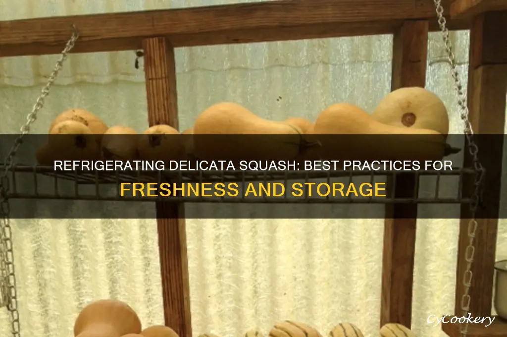 can you refrigerate delicata squash