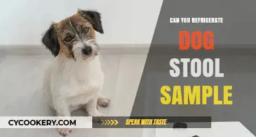 Refrigerating Dog Stool Samples: Best Practices for Accurate Testing
