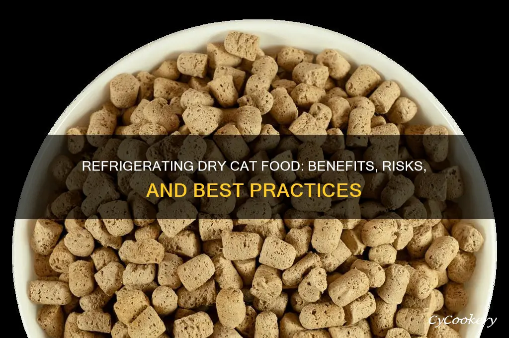 can you refrigerate dry cat food
