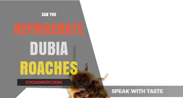Refrigerating Dubia Roaches: A Guide to Proper Storage and Care