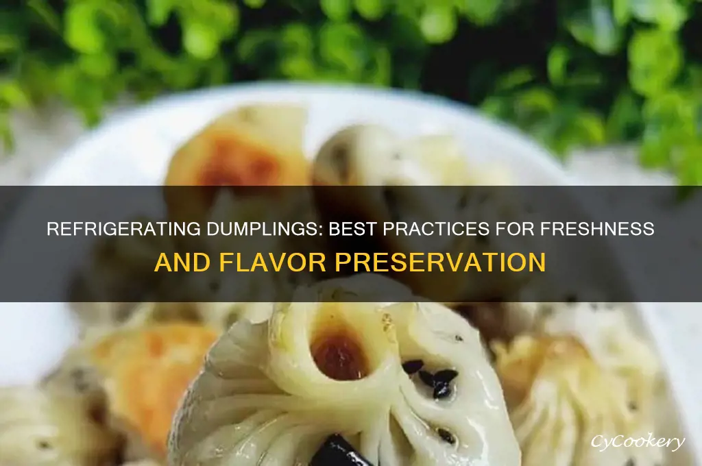can you refrigerate dumplings