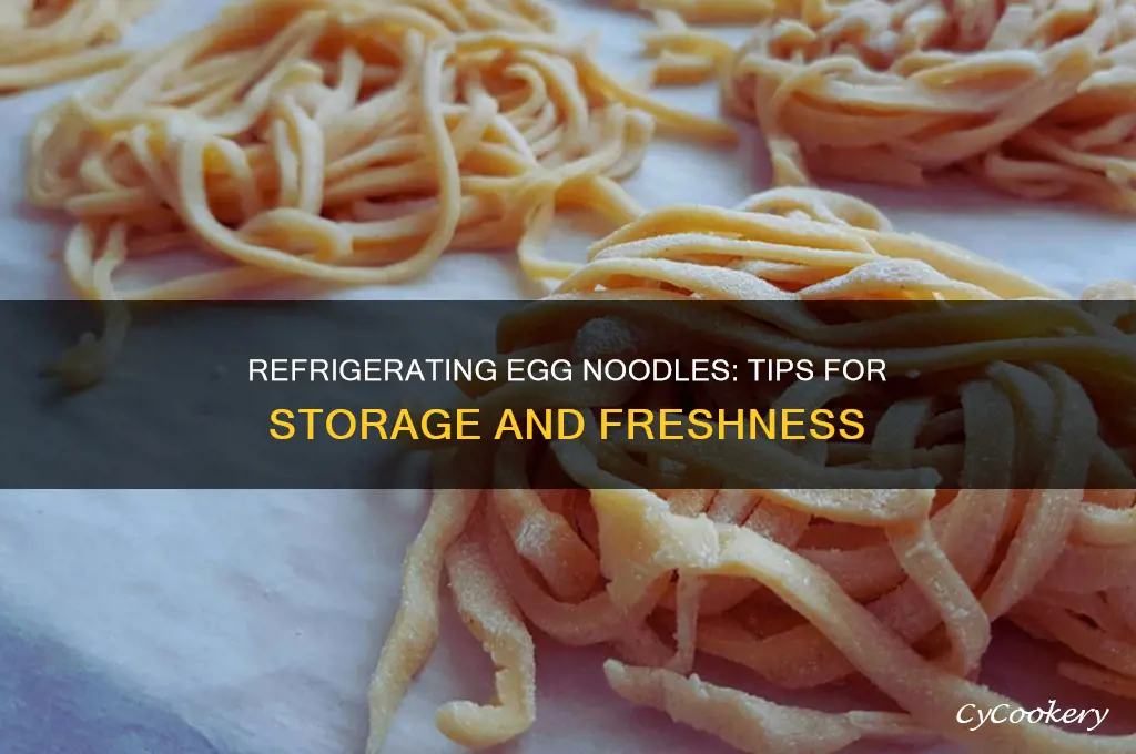can you refrigerate egg noodles