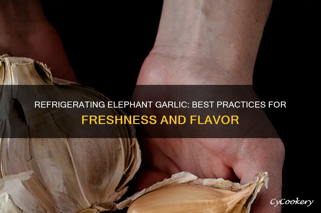 can you refrigerate elephant garlic
