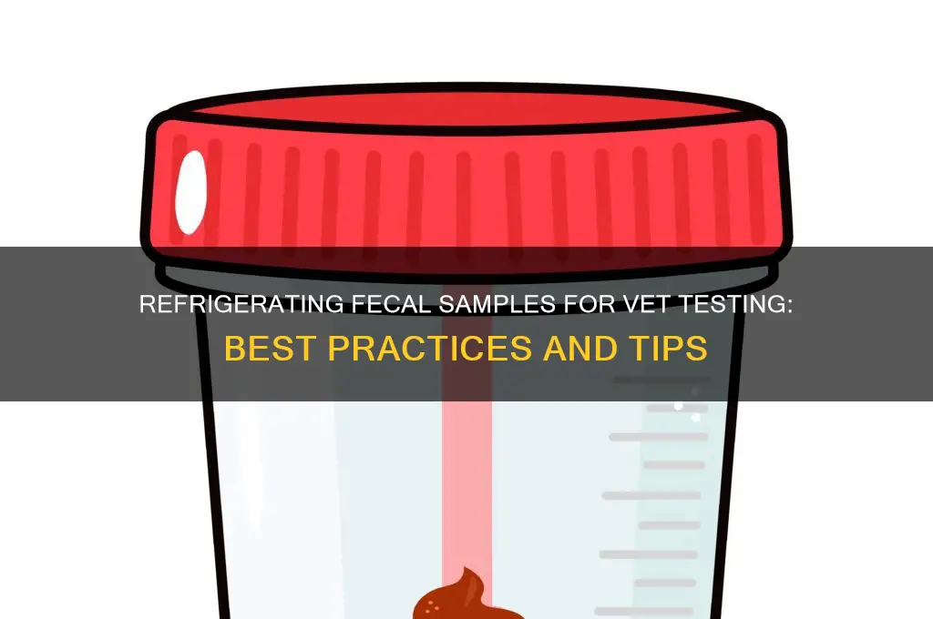 can you refrigerate fecal sample vet