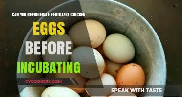 Refrigerating Fertilized Chicken Eggs: Pre-Incubation Storage Tips and Best Practices