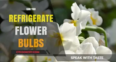Refrigerating Flower Bulbs: Best Practices for Healthy Blooming Success
