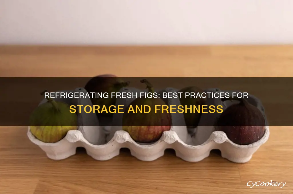 can you refrigerate fresh figs