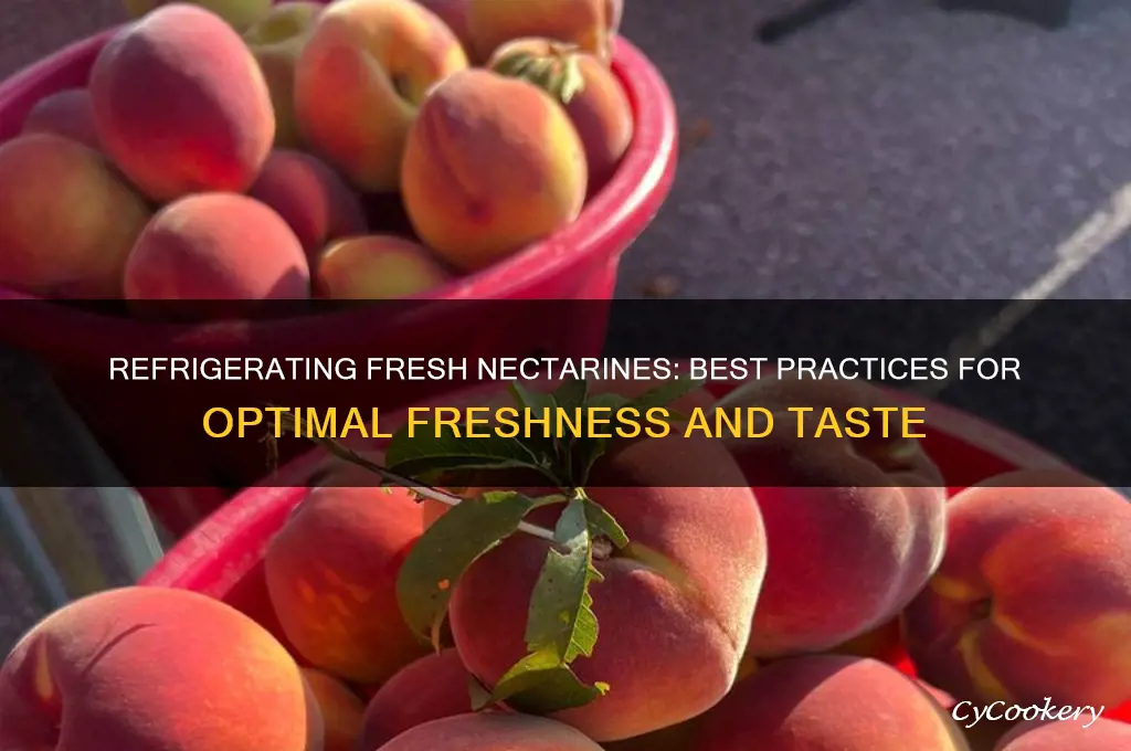 can you refrigerate fresh nectarines