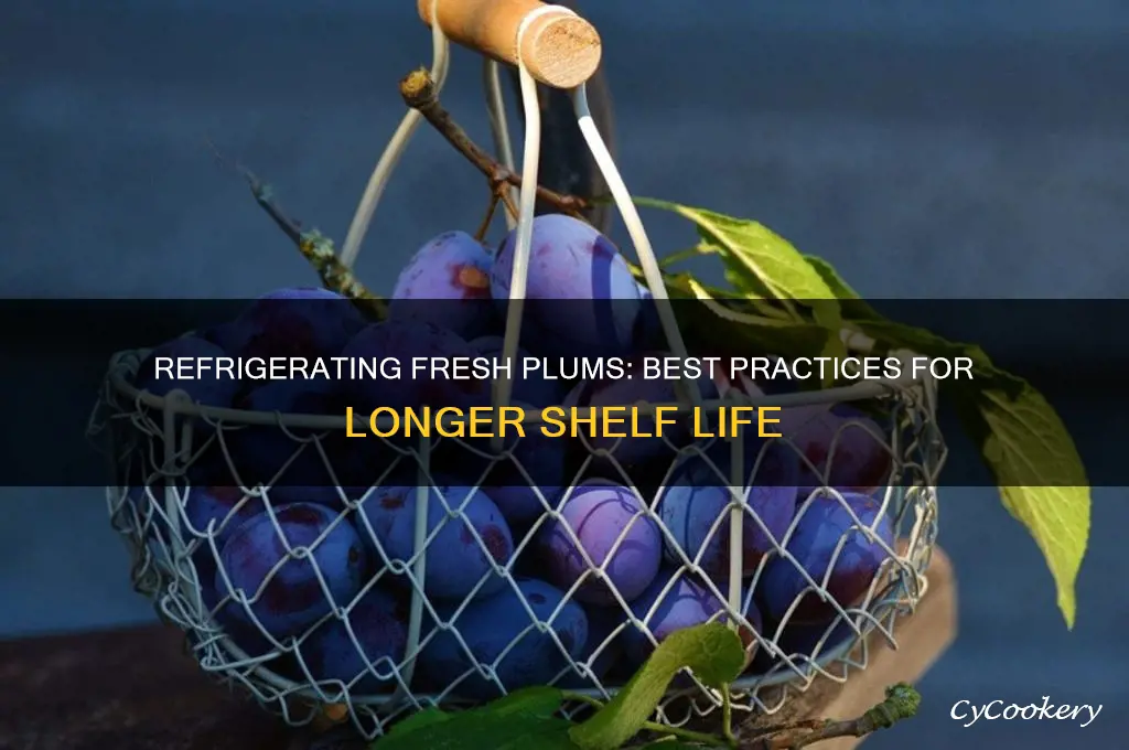 can you refrigerate fresh plums