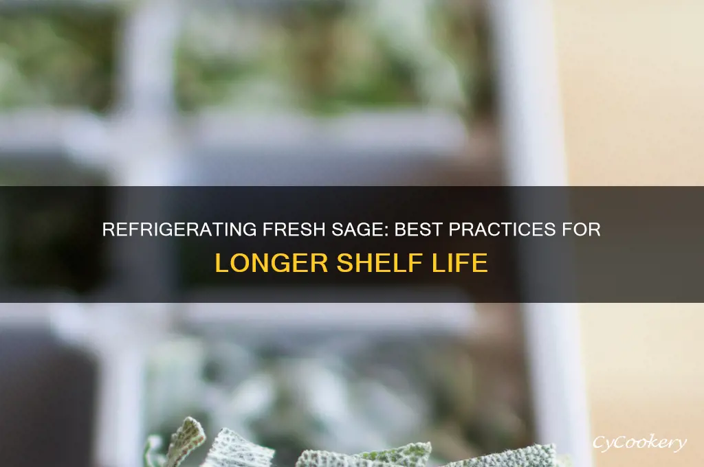 can you refrigerate fresh sage