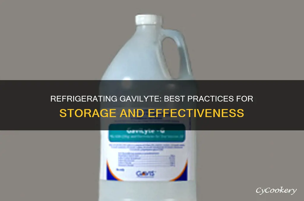 can you refrigerate gavilyte