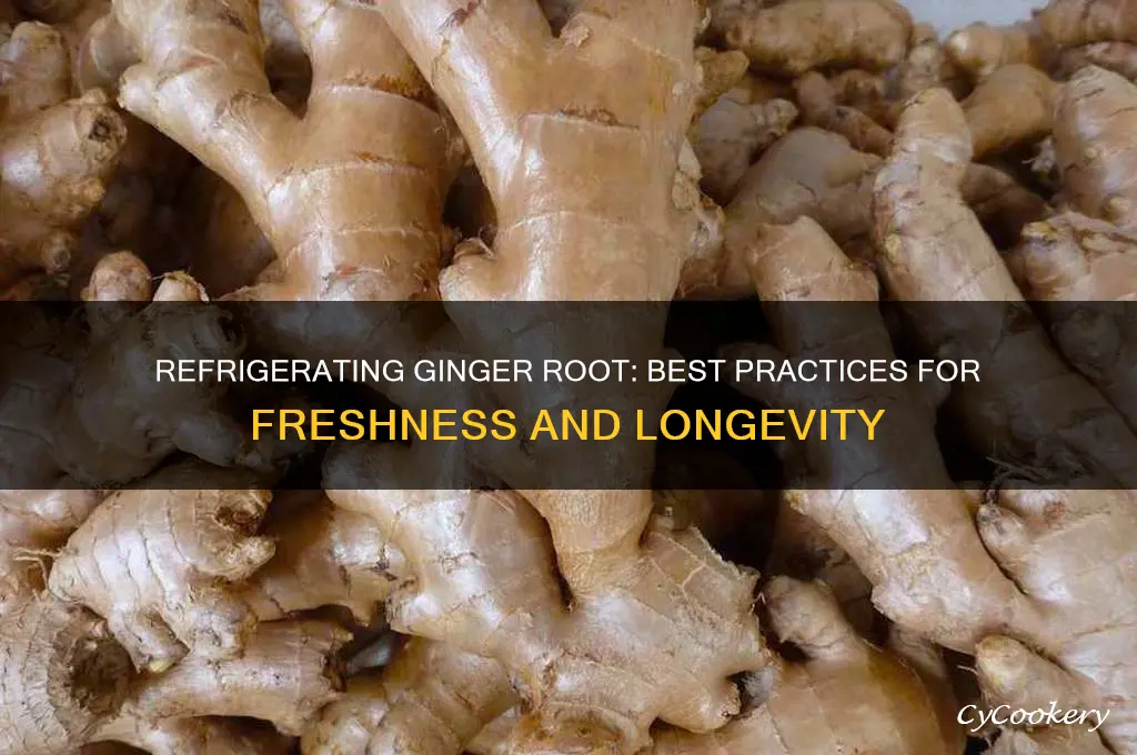 can you refrigerate ginger root
