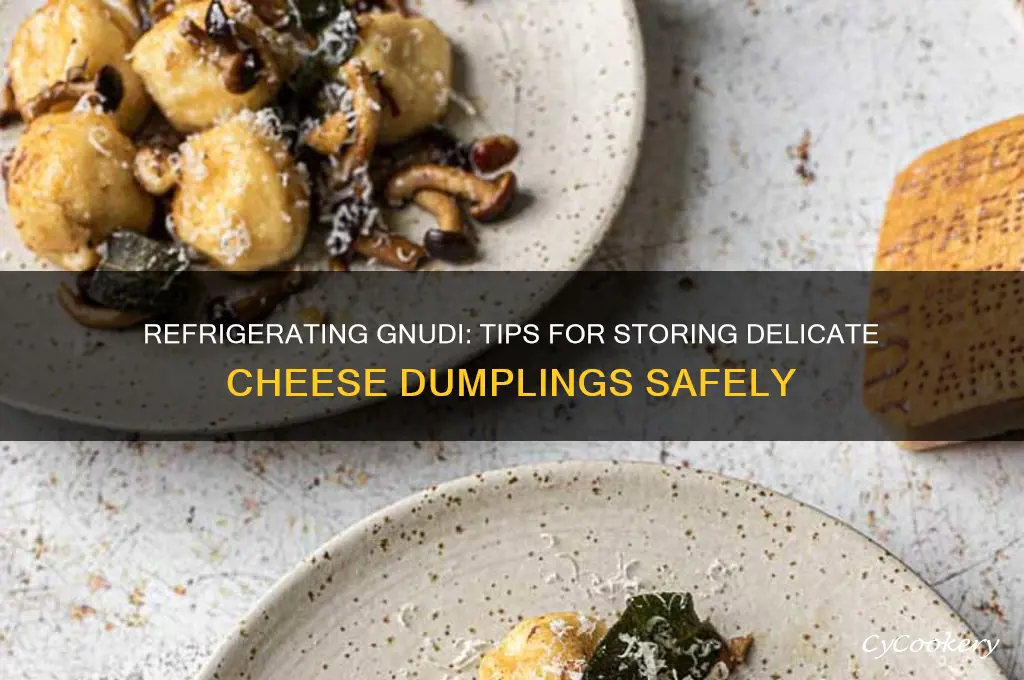 can you refrigerate gnudi