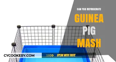 Refrigerating Guinea Pig Mash: Best Practices for Freshness and Safety