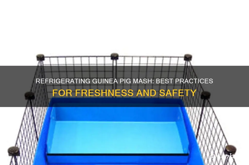 can you refrigerate guinea pig mash