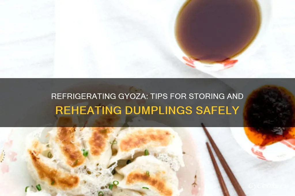 can you refrigerate gyoza