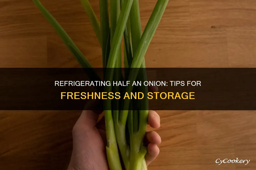 can you refrigerate half an onion