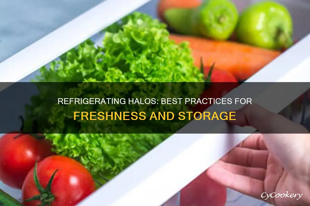 can you refrigerate halos