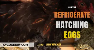 Refrigerating Hatching Eggs: Best Practices for Successful Incubation