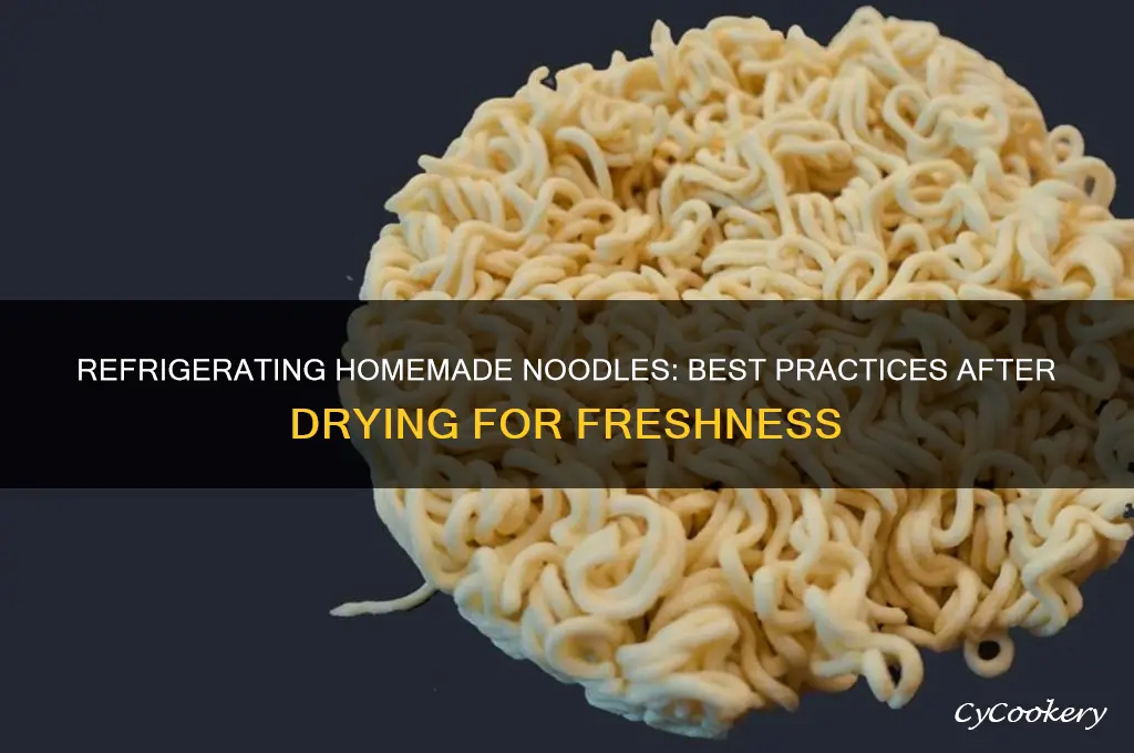 can you refrigerate homemade noodles after they are dried