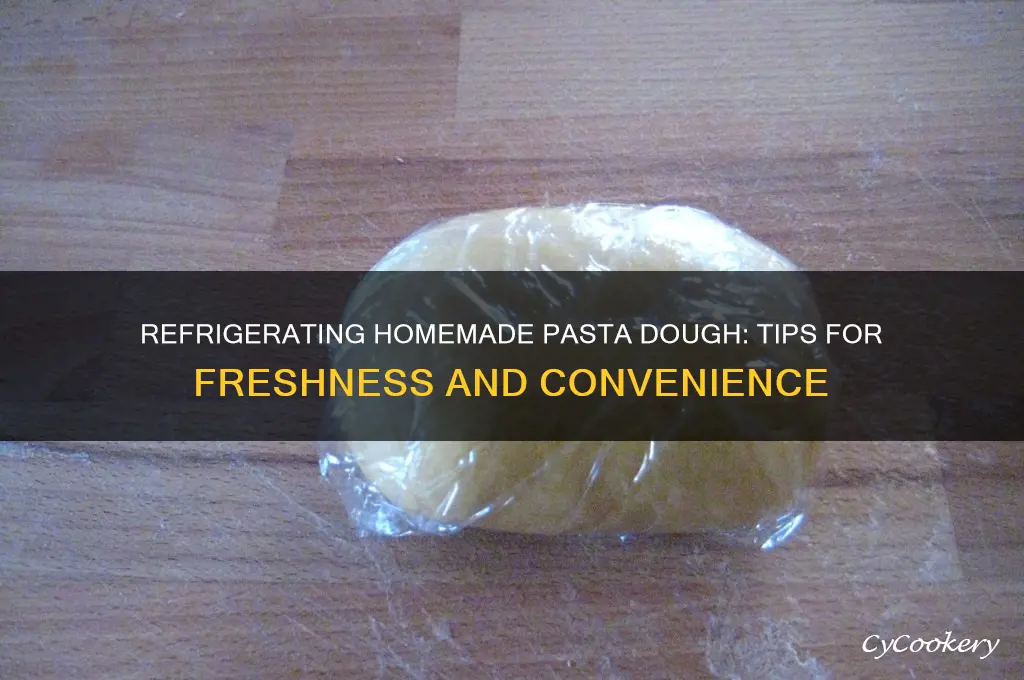 can you refrigerate homemade pasta dough