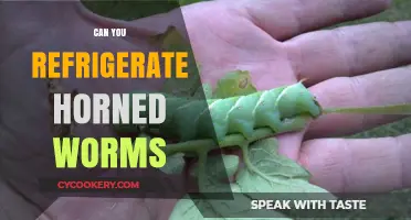 Refrigerating Horned Worms: Safe Practices and Care Tips for Keepers