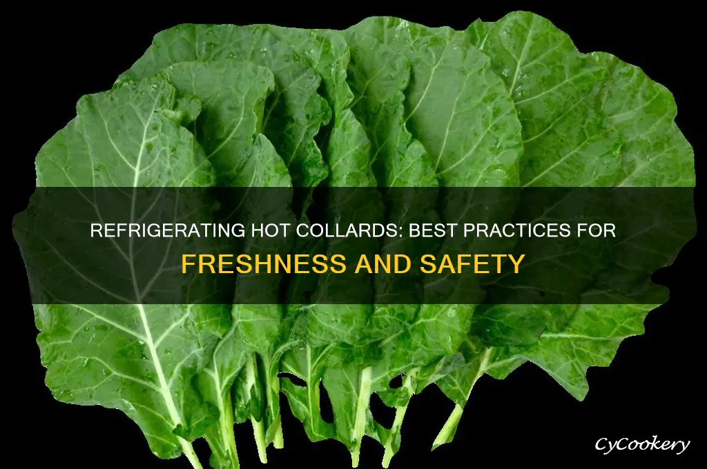 can you refrigerate hot collads