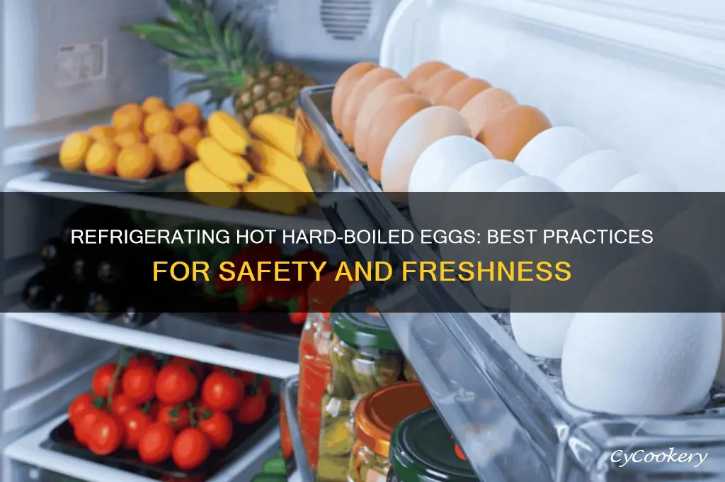 can you refrigerate hot hard boiled eggs