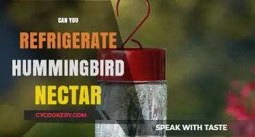 Refrigerating Hummingbird Nectar: Benefits, Risks, and Best Practices