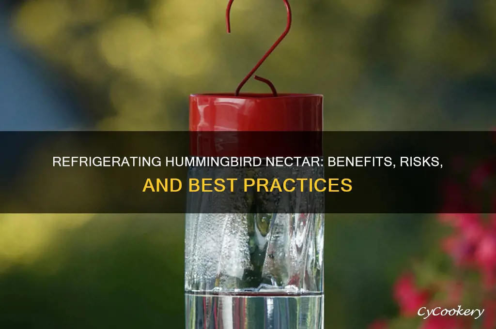 can you refrigerate hummingbird nectar