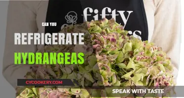 Refrigerating Hydrangeas: Tips to Preserve Freshness and Extend Bloom Life