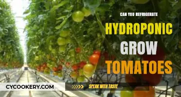 Refrigerating Hydroponic Tomatoes: Best Practices for Freshness and Storage