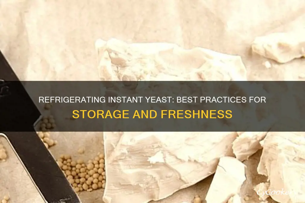 can you refrigerate instant yeast