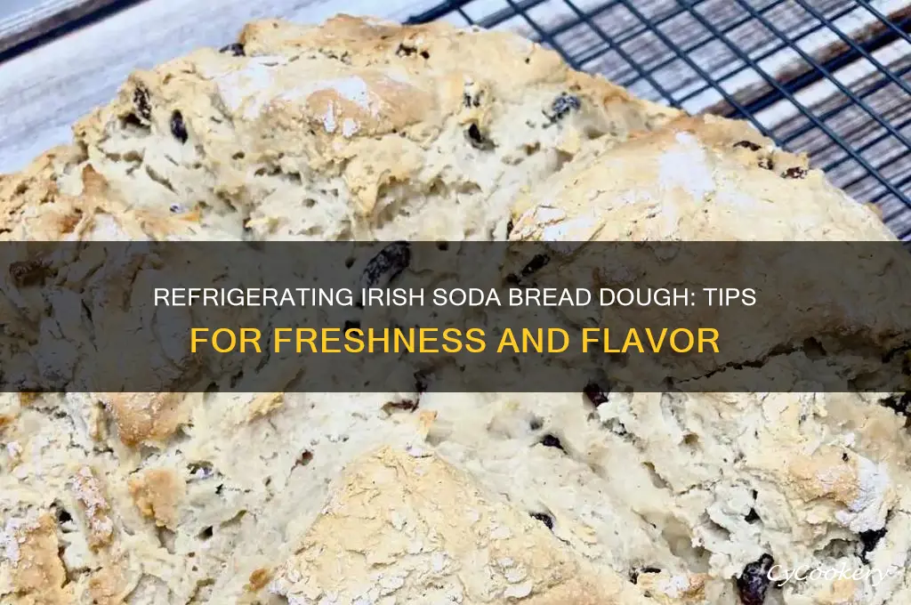 can you refrigerate irish soda bread dough