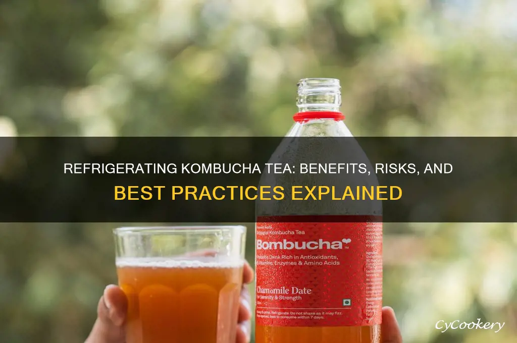 can you refrigerate kamucha tea