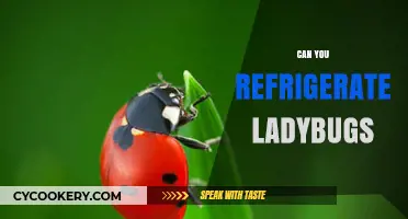 Can You Refrigerate Ladybugs? Safe Storage Tips for Gardeners
