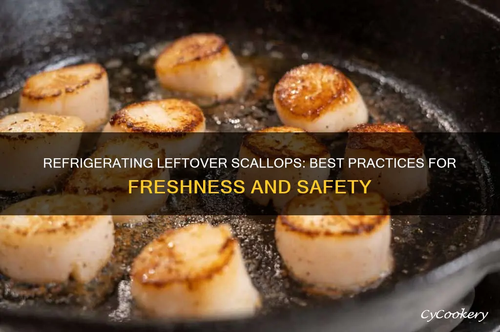 can you refrigerate leftover scallops