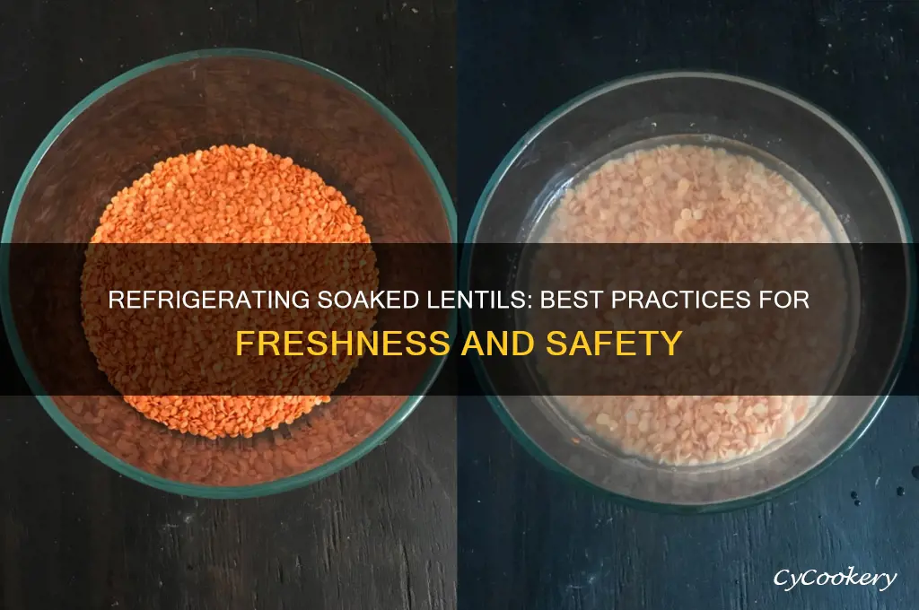 can you refrigerate lentils after you soak them
