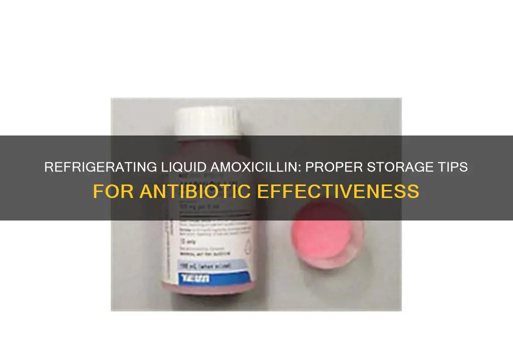can you refrigerate liquid amoxicillin
