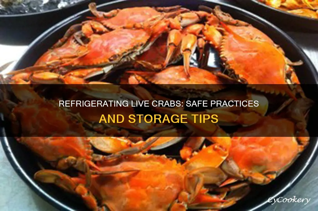can you refrigerate live crabs