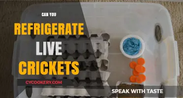 Refrigerating Live Crickets: Safe Storage Tips for Pet Owners