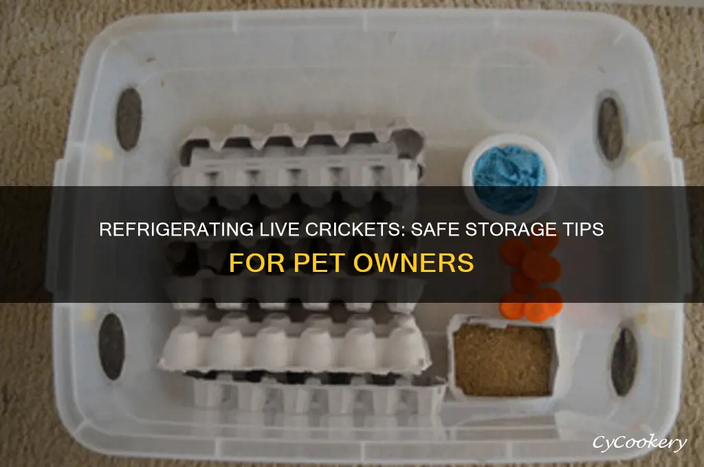 can you refrigerate live crickets