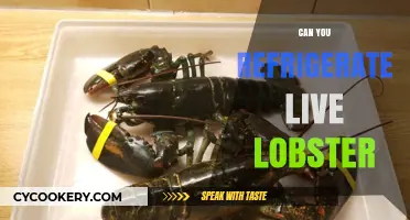 Refrigerating Live Lobster: Best Practices for Freshness and Safety