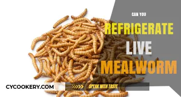 Refrigerating Live Mealworms: Best Practices for Storage and Care