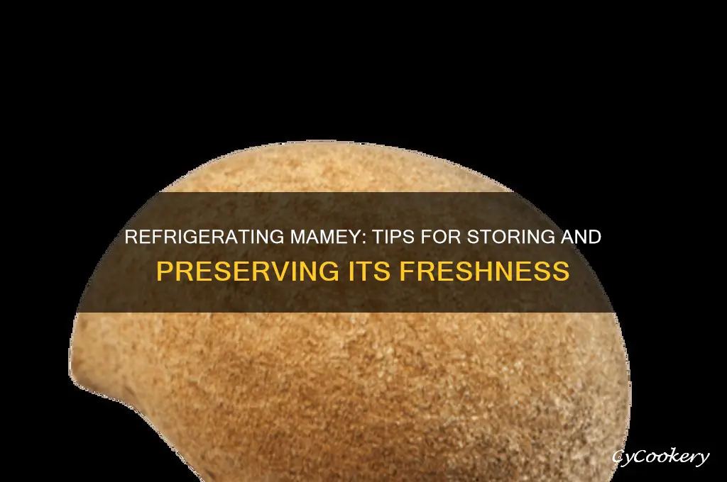can you refrigerate mamey