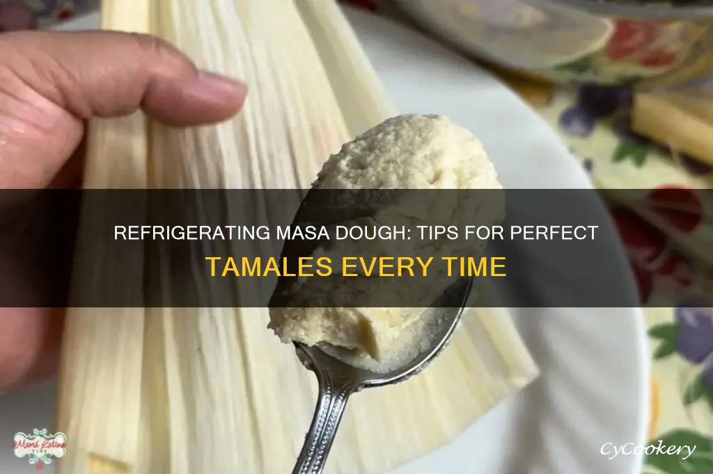 can you refrigerate masa dough for tamales
