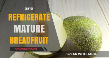 Refrigerating Mature Breadfruit: Best Practices for Freshness and Storage